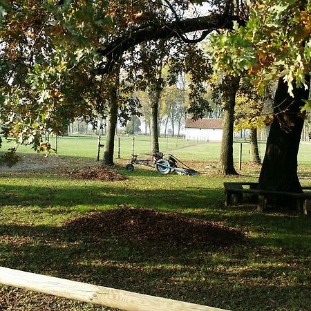 斯库德里亚100栖息别墅 Villanterio 外观 照片